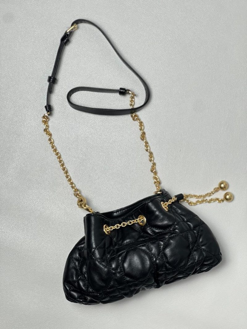 SMALL DIOR AMMI BAG 2