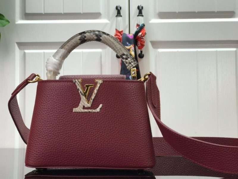 Louis Vuitton capucines mini 5