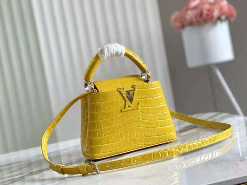 Louis Vuitton crocodile skin capucines mini 2