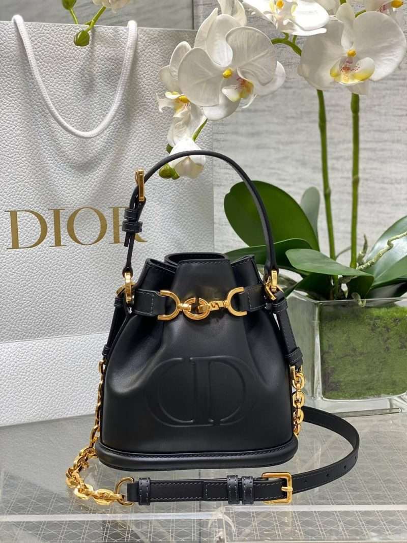 Medium CEST Dior bag CD- Embroidery calfskin 1